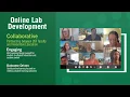 Online at USF STEM Labs