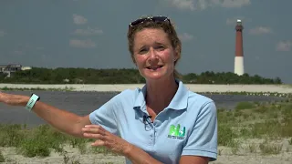 Barnegat Light Restoration Project