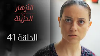 مسلسل الأزهار الحزينة الحلقة 41 الموسم الأول 
