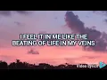 Blessing Offer - Brighter Days ( Official Lyric )