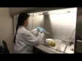 Laboratory Safety Guidelines