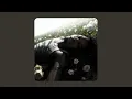 d4vd - One More Dance