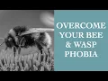 Eenvoudige tips om je bijen-/wespenfobie te overwinnen - The Speakmans
