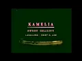Download Lagu kamelia sweet charity karaoke lirik