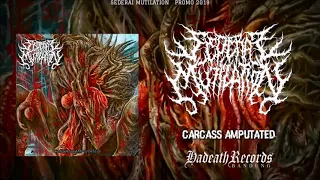 Download SEDERAI MUTILATION - Carcass Amputated (Promo 2019) MP3