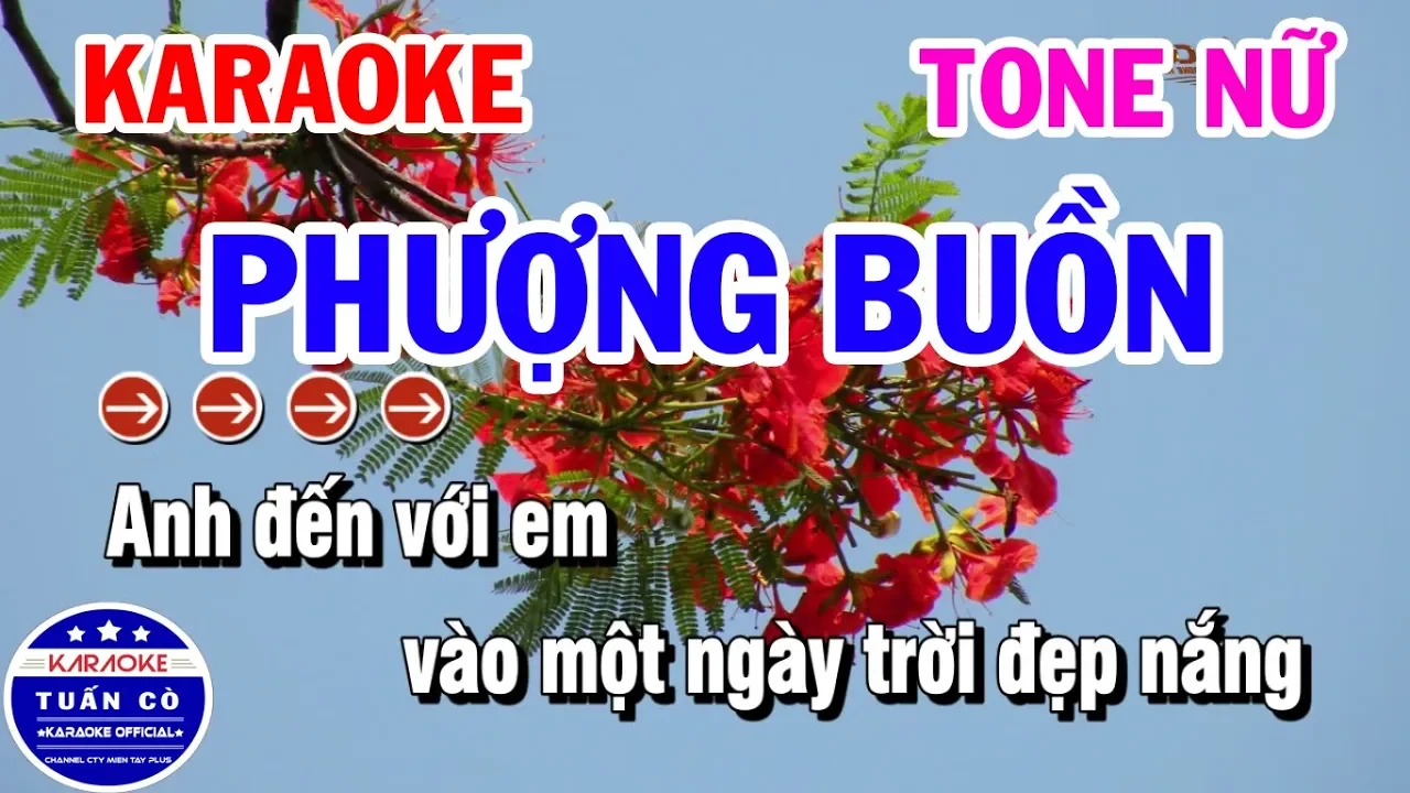 Karaoke Phượng Buồn | Nhạc Sống Tone Nữ Dễ Hát | Karaoke Tuấn Cò