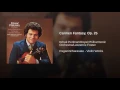 Carmen Fantasy, Op. 25