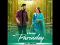 Parindey (LoFi Version)