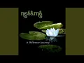 Download Lagu Lily Pond