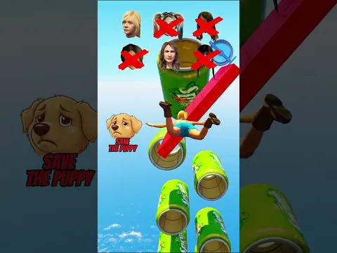 Who Saves Poor Puppy From Evil Guy?