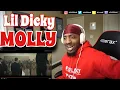 Download Lagu Lil Dicky - Molly feat. Brendon Urie (REACTION!!!)