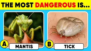 How Good Is Your Knowledge of Animals? 🦁🦊🐺🐻 HARD Animal Knowledge Test