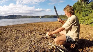 Ep 169 | Gathering and Desiccating Coconuts on a Tropical Island Paradise, New Caledonia