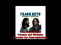 The Black Keys Oceans and Streams karaoke