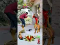 Download Lagu maa meldi maa vfx video ||❣️|| jai vaishno devi #shorts #miteshkashow #ramyan #viral