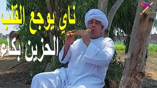 الابداع الفني   في ريف مصر الجميله عزف حزين جدا جدا     صابر كولة     صابر كوله                دندنها