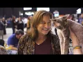 CFA International Cat Show and Expo - The Largest Cat Celebration in the World