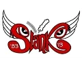 Download Lagu TONG KOSONG - SLANK karaoke download ( tanpa vokal ) instrumental