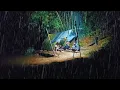 Download Lagu Camping- di guyur hujan deras-membangun tempat berlindung di hutan \u0026 tidur nyenyak sampai pagi-ASMR