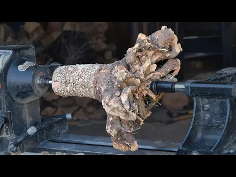 Woodturning a Mess of Dogwood Roots