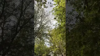 قد تبيت النفس هم ا    اكسبلور  حكمة  علمني ديني  شعر  ابن الإسلام البار  الدنيا فانية  كلام من ذهب دندنها