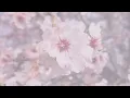 K-POP PLAYLIST_SOLO PIANO MUSIC BY FRANZ GORDON 🎹🎵🎶 RELAXING SIGHT & SOUND 🎼