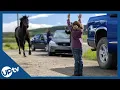 Heartland Season 16 Premiere - Sneak Peek