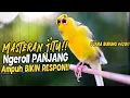 Download Lagu SUARA BURUNG |420| Kenari GACOR PANJANG INI Cocok untuk Masteran KENARI PAUD dan Kenari Macet BUNYI
