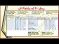 16 Fields of Pricing Procedure SAP SD