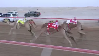 الشوط 1 الياسات للسيد محسن سعيد محسن حفيظ المزروعي توقيت 7 52 43 