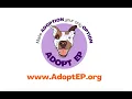 El Paso Animal Services Make Adoption Your Only Option