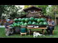 Download Lagu Homemade Watermelon Doshab | Summer’s Sweet Elixir