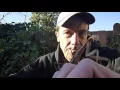 Do Praying Mantis Bite