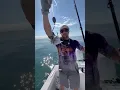 Download Lagu ♻️😅🔥 detik detik pria ini berswafoto dengan kerapu 🔥🔥 #shortvideo #fishing #viralvideo #mancing