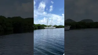 HURRICANE HOLE in the Mangroves🌀 #boatlife #vlog #shorts