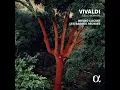 Cello Sonata in A Minor, RV 43: III. Largo