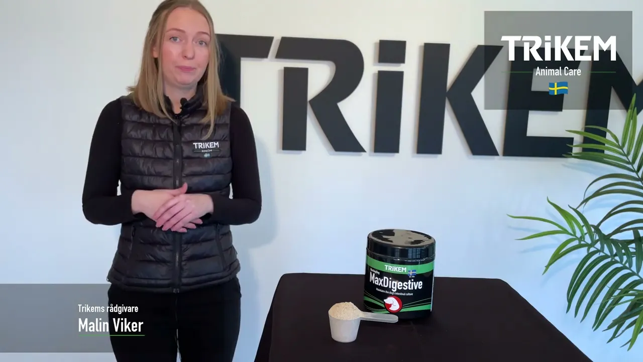 Trikem WorkingDog Max Digestive 600 gr.