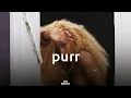 Download Lagu Afrobeat Type beat 2025 - PURR Ayra Starr x Tems