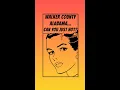 Walker County Alabama Update - Another Arrest and Some Lawsuits