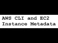 AWS Tutorial 21 - AWS CLI and EC2 Instance Metadata