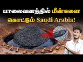 Download Lagu Saudi Arabia : 2030- ல நாங்கதான் Mass ! | Saudi arabia agriculture and Pisciculture system