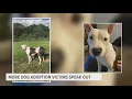 Those poor animals Muskegon family paid 1 400 in vet bills after adoption from Cober s Canines