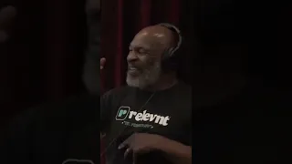 Monkey Rips Scalp Off Mike Tyson Can t Stop Laughing