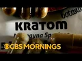 Growing concern about the supplement kratom s possible side effects risk of addiction