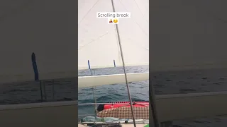 Peaceful sailing on the east coast of NZ #shorts #boatlife #fyp #sailing #relaxing #lofi