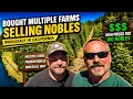 Ep Buying Christmas tree farms and selling trees