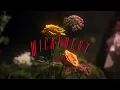 Tamera - Wickedest (Official Video)