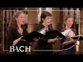 Download Lagu Bach - Cantate Herz und Mund und Tat und Leben BWV 147 - Creed | Nederlandse Bachvereniging