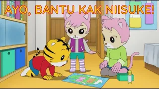 Download Ayo, Bantu Kak Niisuke! | Kartun Anak Bahasa Indonesia | Shimajiro Bahasa Indonesia MP3