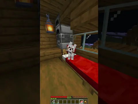 ESO NO era mi PERRO de Minecraft 💀